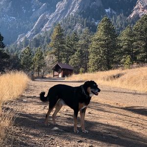 Meet your Posher, Marcus